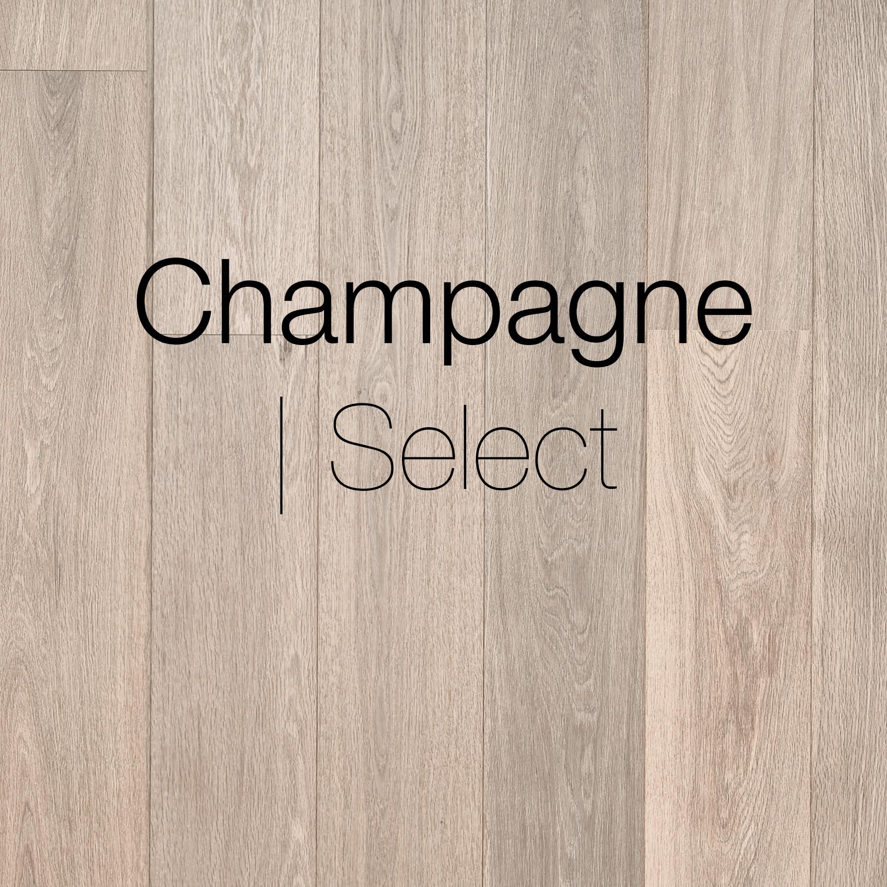 Champagne, Select | FREB-7-CHA-SEL - Allwood